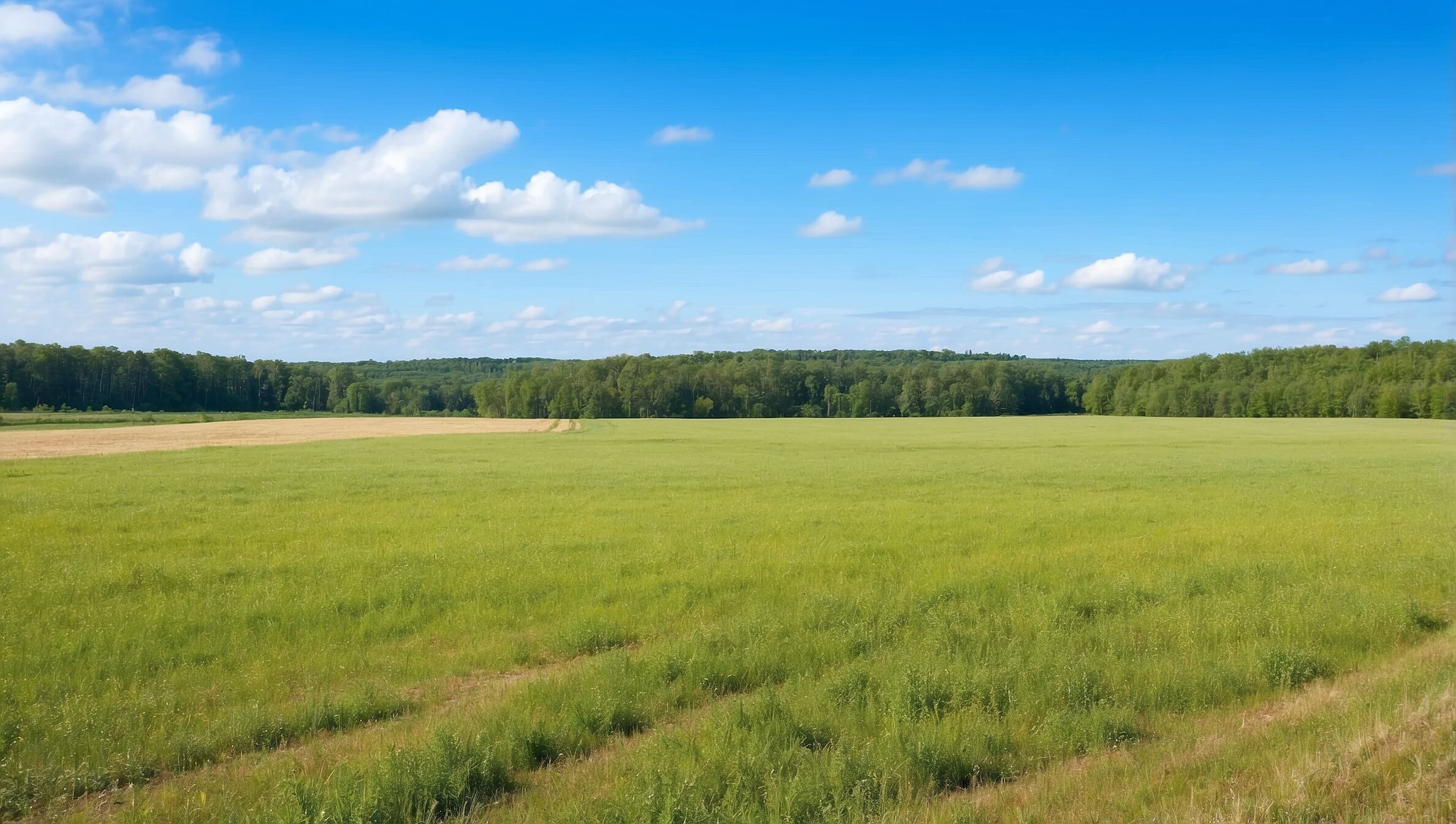 Купить земельный участок ИЖС
